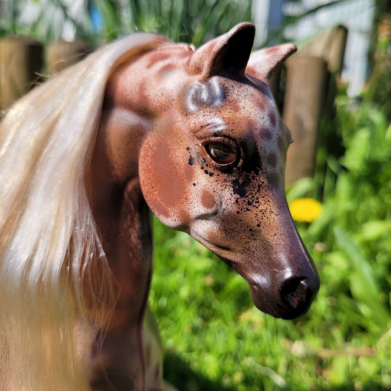 Giocattoli: Barbie Pferd Savanna Repaint/Unikat – Usato da Niederbuchsiten venduto da klengyel 7