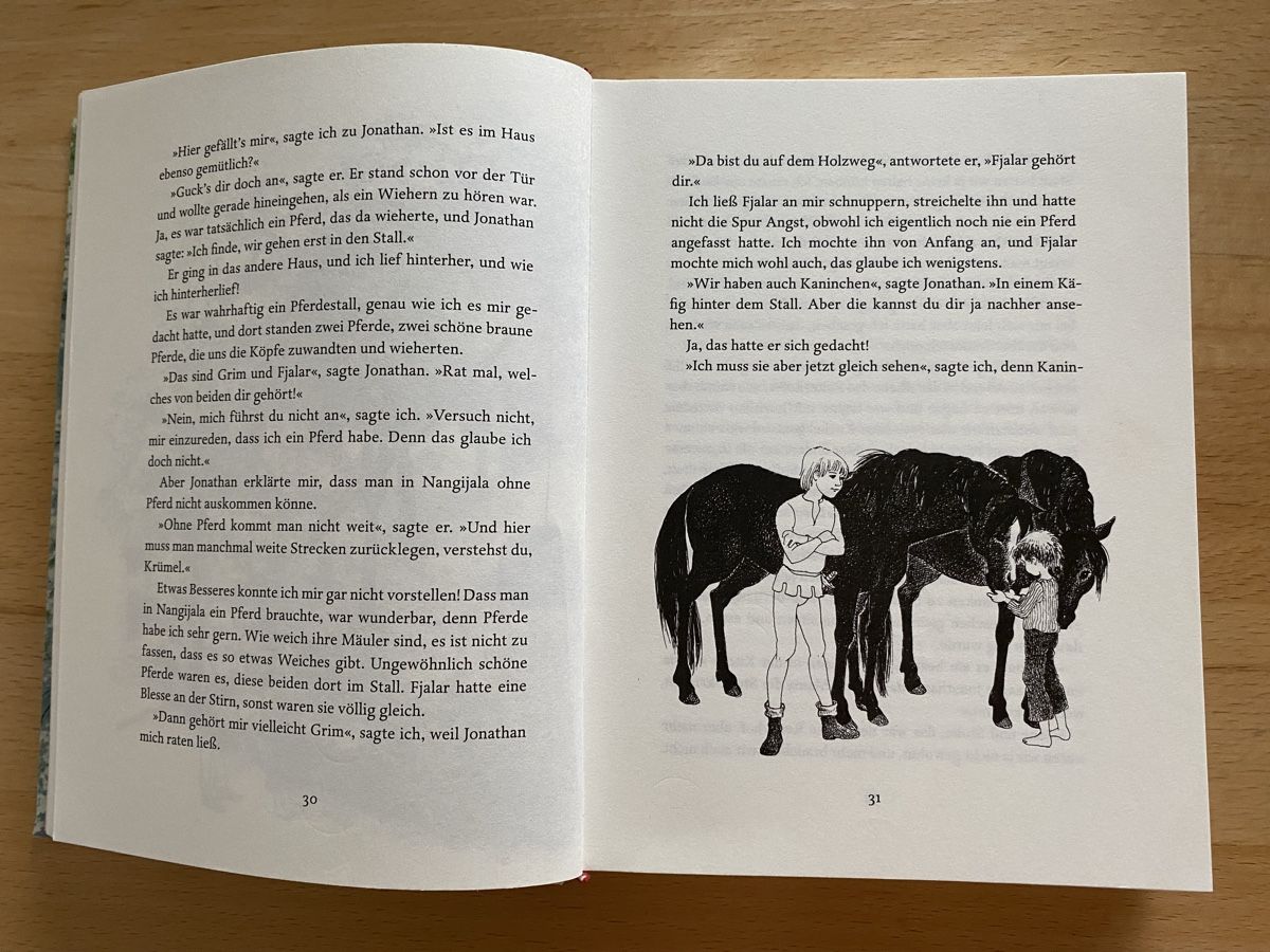 Livres: Die Brüder Löwenherz - Astrid Lindgren – D'occasion à Schwarzenburg par Michellu 5