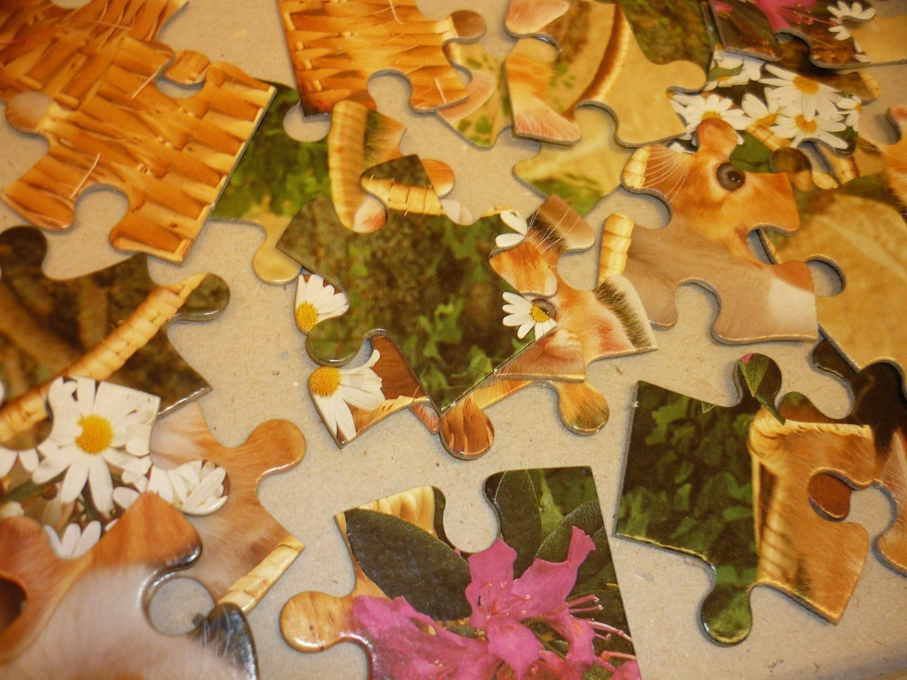 Puzzle: Puzzle mit 3 herzigen Kätzchen – Usato da Jonschwil venduto da bsn_p8dl 3