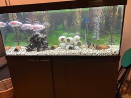 Aquariumkomination 240 Liter