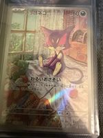 Purrloin, 134, japanese