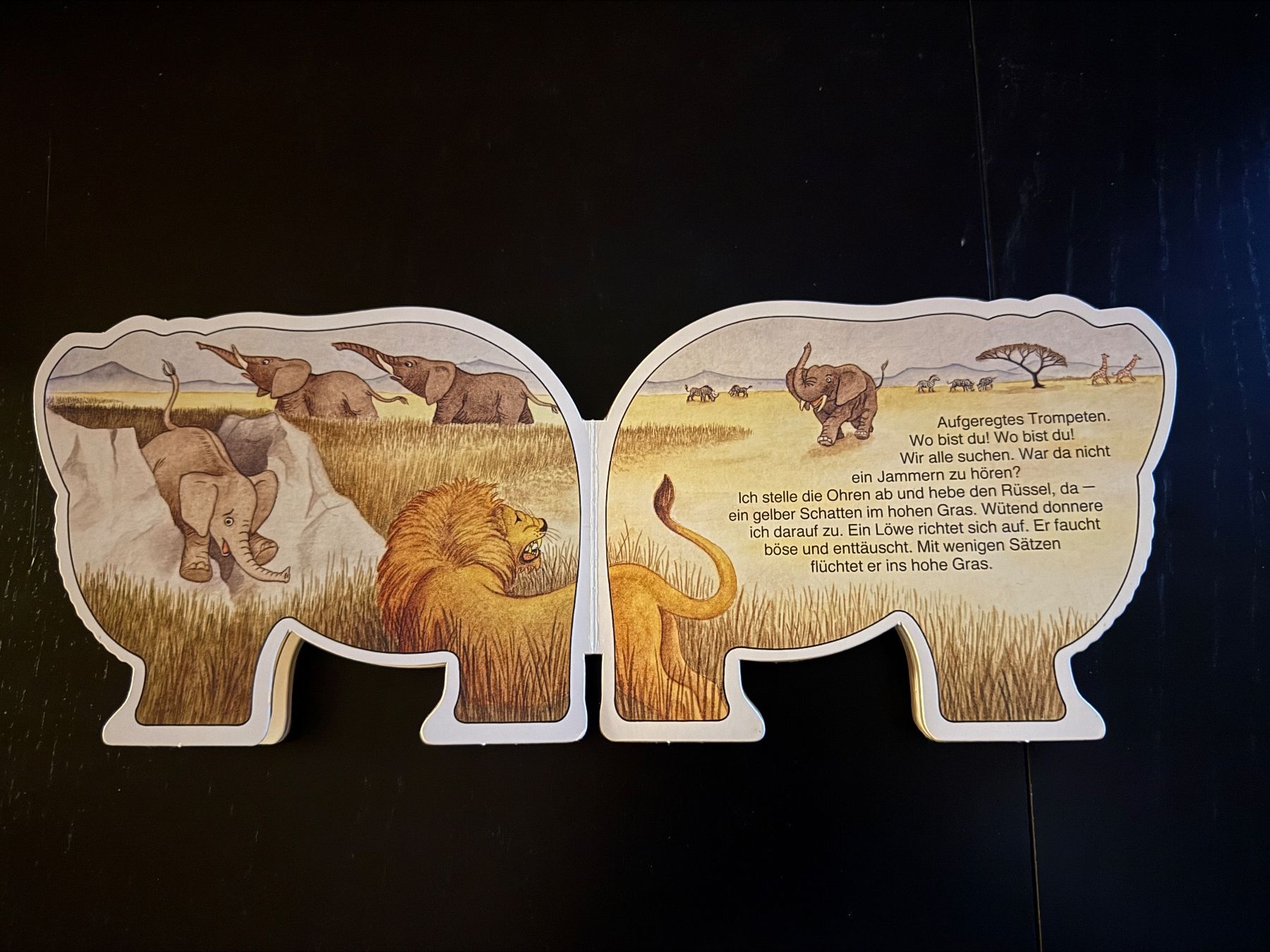 Libri: Elefant Kinderbuch "Ein Tag im Leben einer Elefantentante" – Usato da Erstfeld venduto da Uhu1980 2