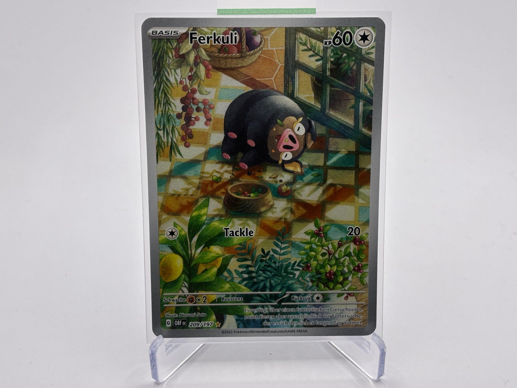 Pokémon Carte collezionabili: Obsidianflammen - Ferkuli  (OBF 209) - DE – Nuovo (secondo la descrizione) da Allschwil venduto da Bullach