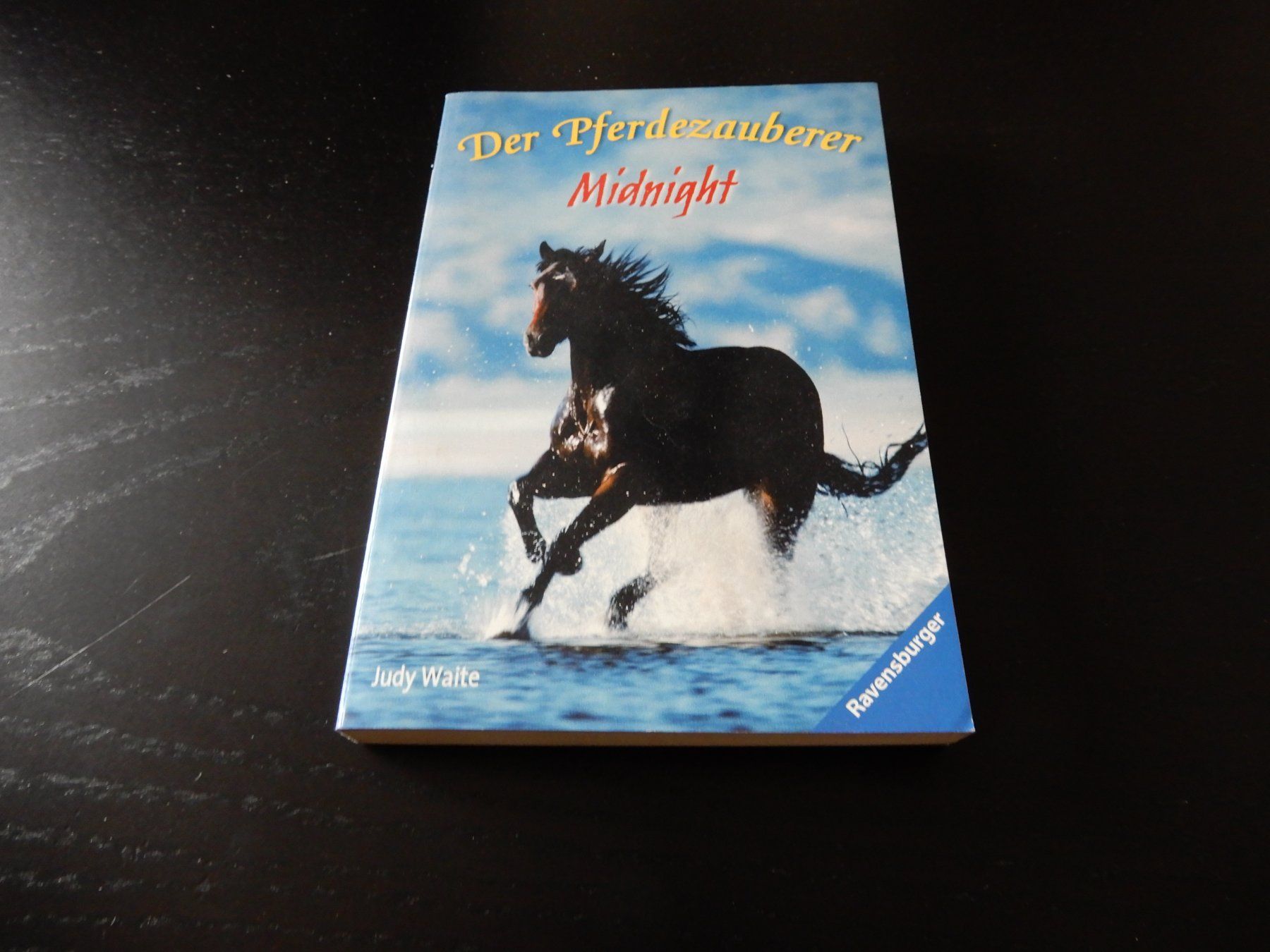 Libri: Judy Waite: Der Pferdeflüsterer Midnight – Usato da Erstfeld venduto da Mario_boe0