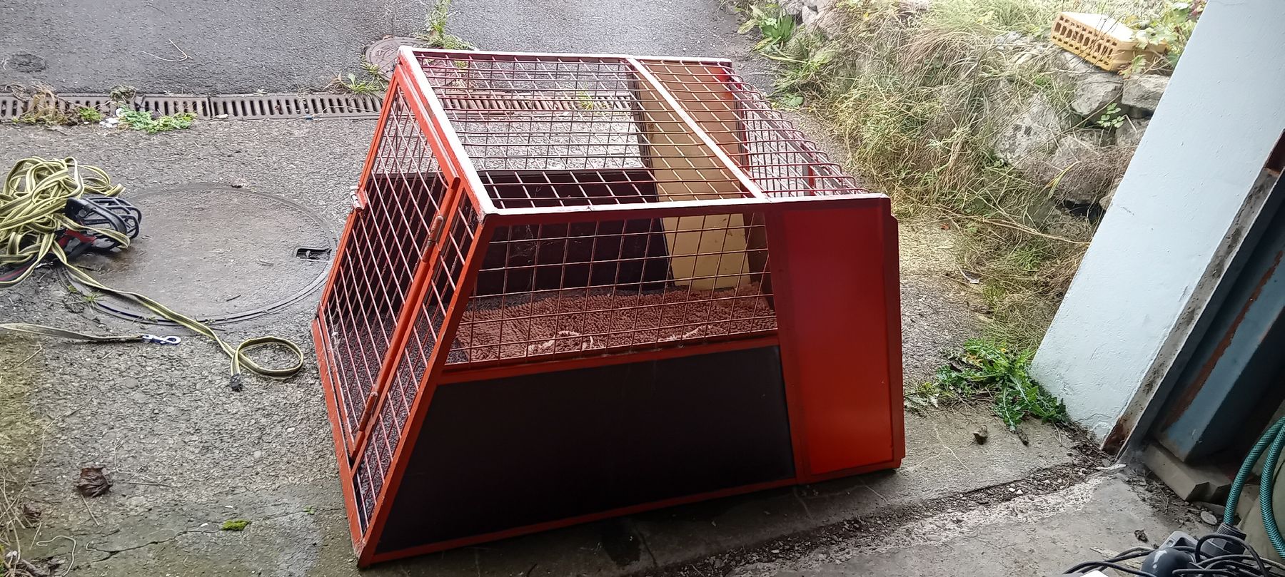 Meiko Gabbie, trasporto & Sicurezza: Hundebox – Usato da Ricken SG venduto da Oesti.ha