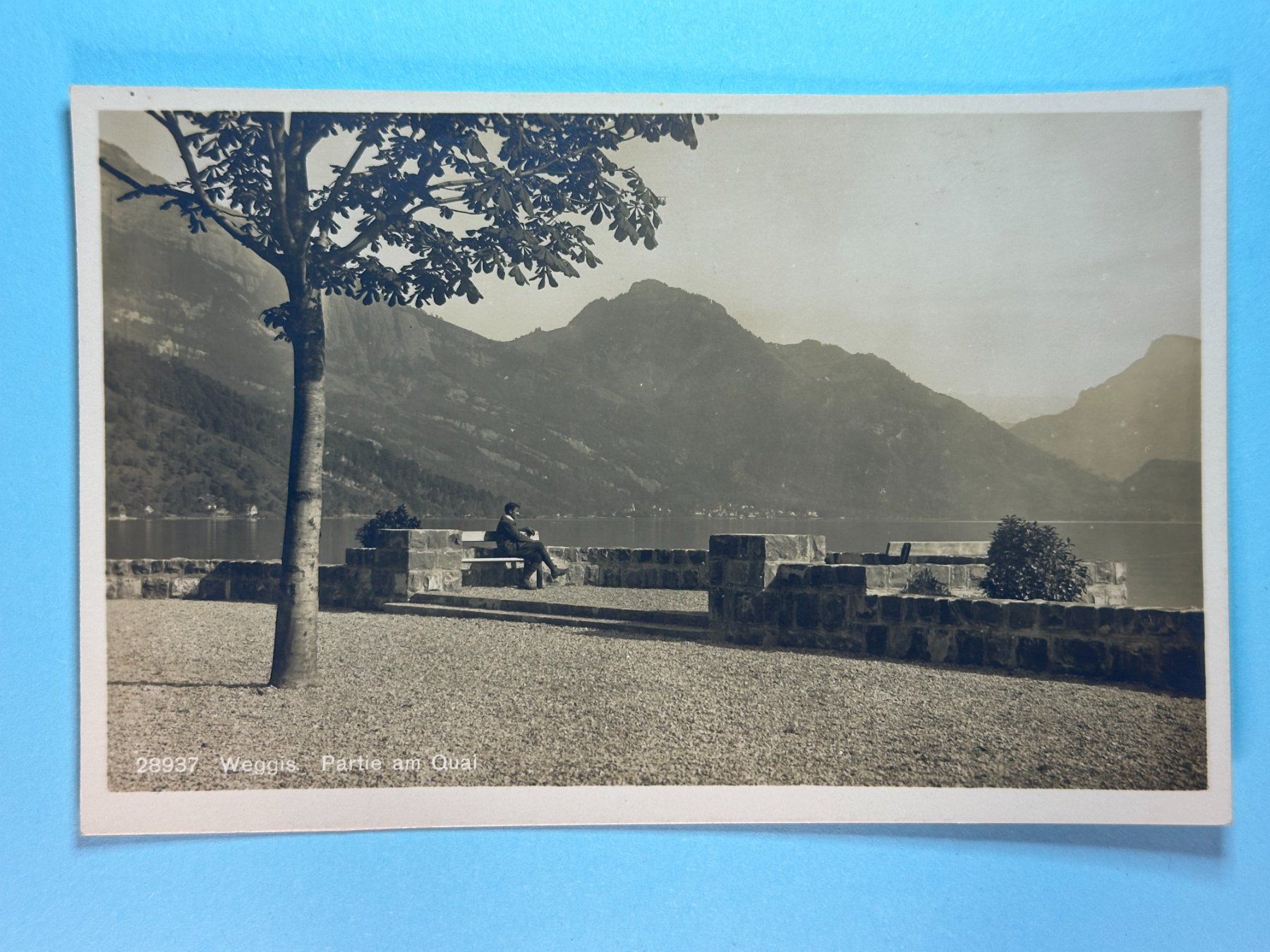 Cartoline postali: Weggis - Partie am Quai – Usato da Steg VS venduto da danwer74
