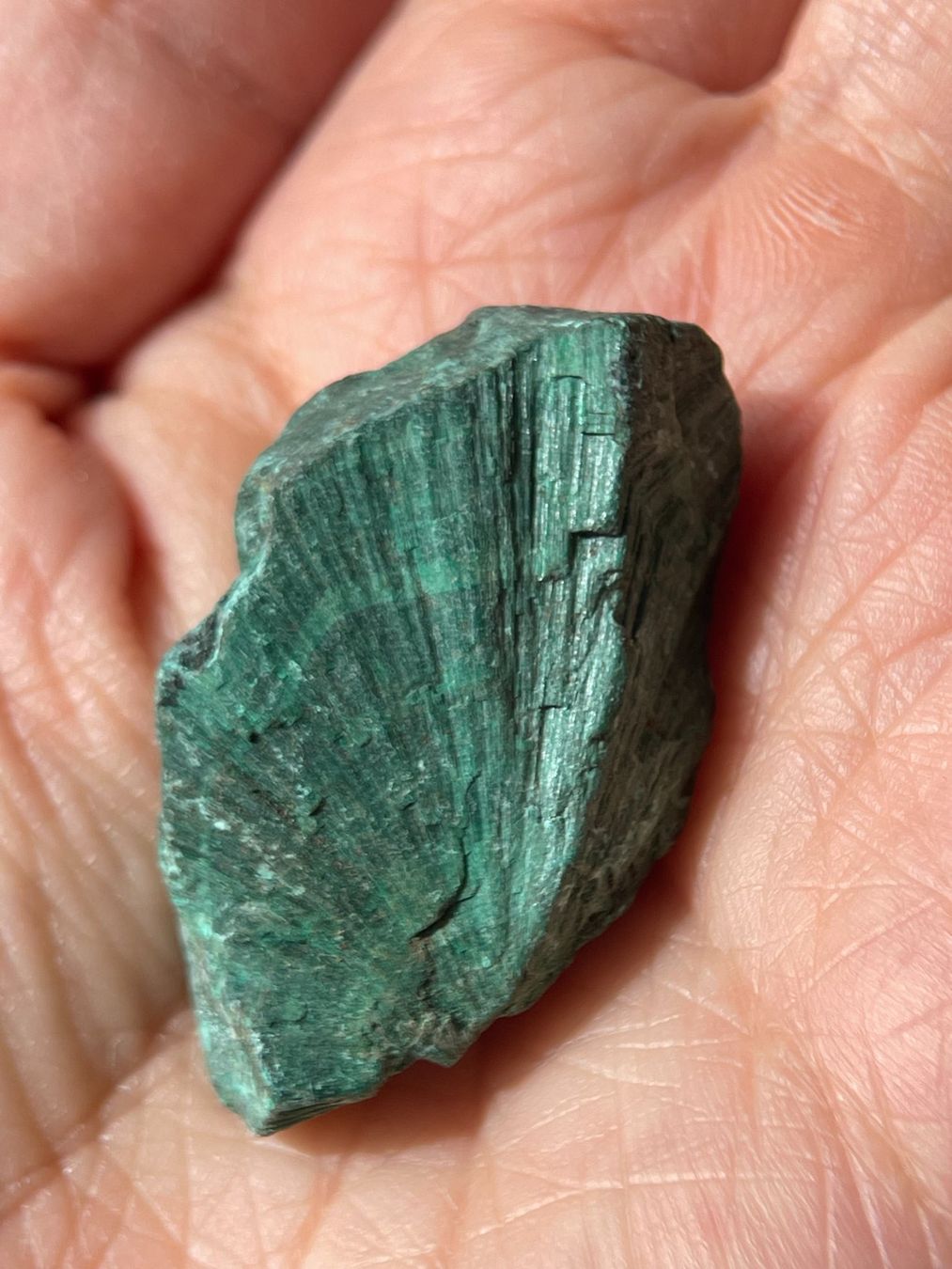 Minerali & Pietre curative: Samtmalachit | Mineralien Stufe – Nuovo (secondo la descrizione) da Schiers venduto da sisikristall 1