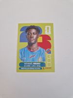 Panini Sticker COD20