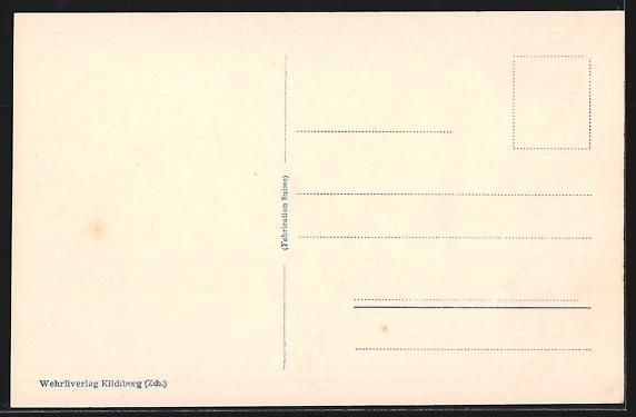 Cartoline postali: Thunersee, Seepartie mit Niesen und Bl – Usato da Berlin venduto da bartko-reher 1