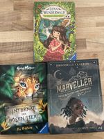 Luna Wunderwald, Internat der bösen Tiere, Die Marveller