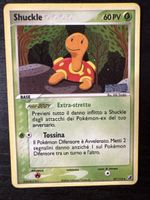 Shuckle Ex Unseen forces holo reverse 47/115