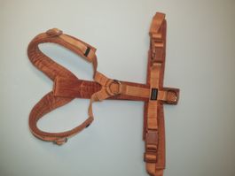 Hundegeschirr Active Velvet von Kentucky Dogwear Gr. M