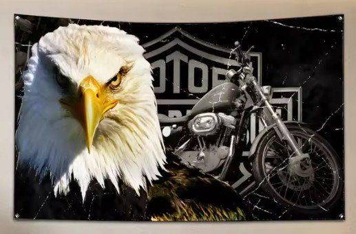 Harley-Davidson Bandiere: Harley Davidson Adler Fahne – Nuovo (secondo la descrizione) da Schiers venduto da Topflash74