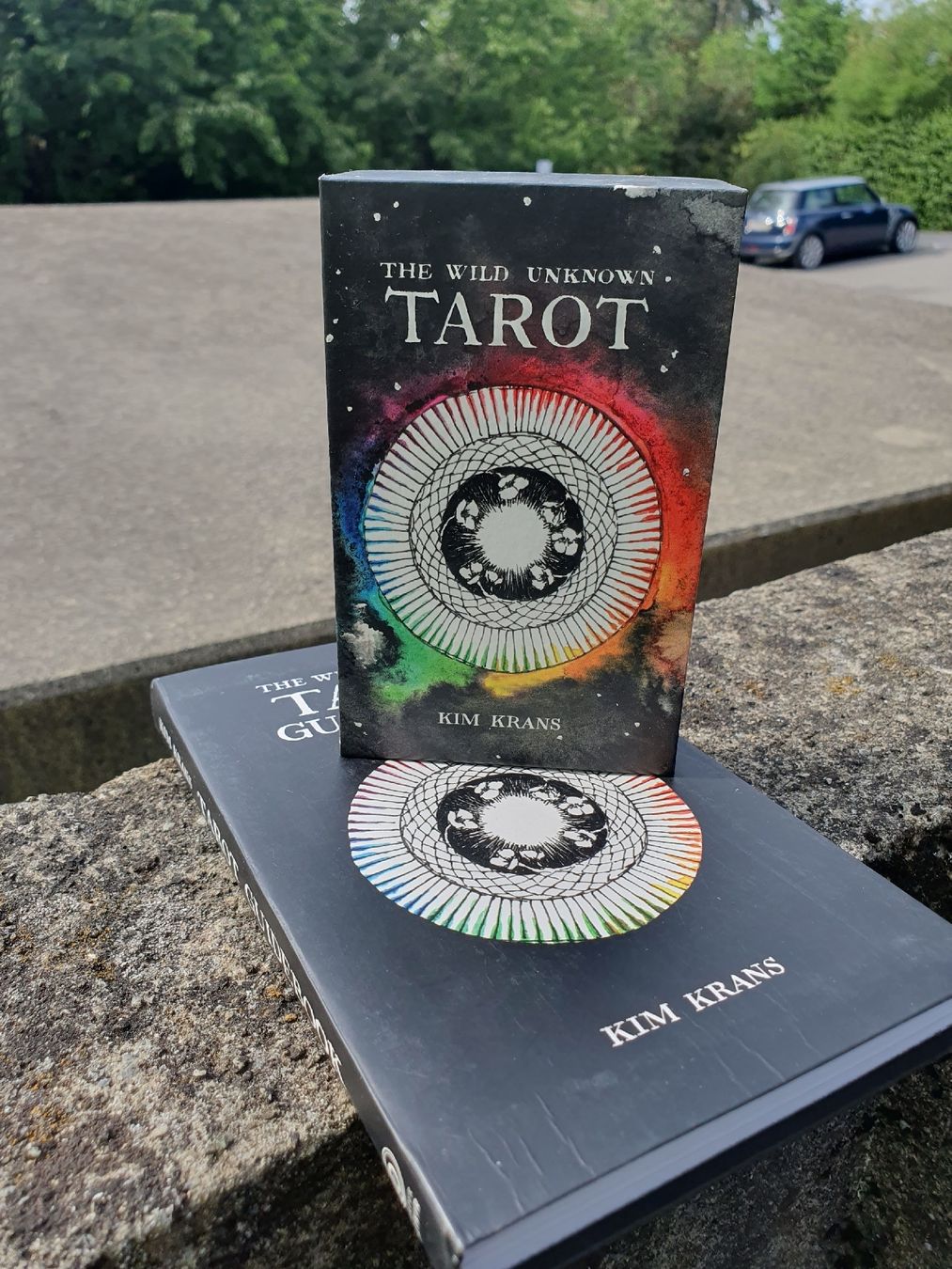 Spiele: Tarot Deck "The Wild Unknown" von Kim Krans mit Guidebook – Gebraucht aus Wimmis von hel_m26m