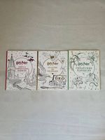 Un lot de 3 livres coloriage Harry Potter 