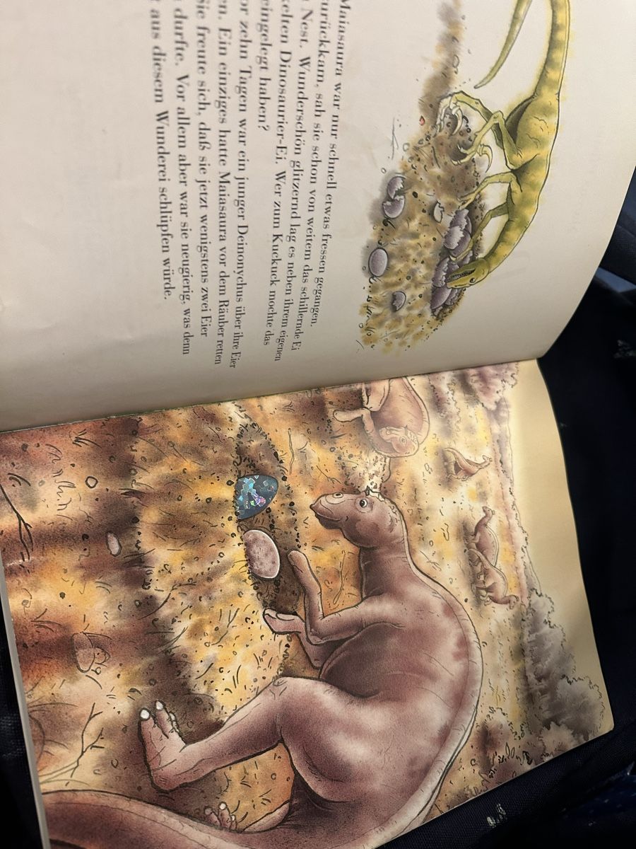 Bücher: Der kleine Dino Marcus Pfister – Gebraucht aus Uster von bek_v2ct 2