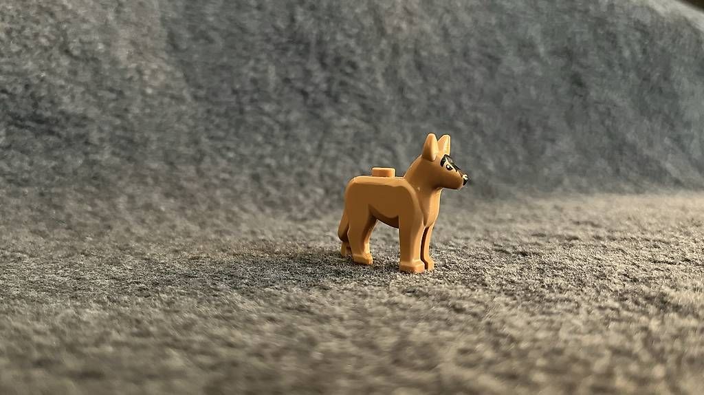 Spielzeuge: Lego verschiedene Tiere | 5 Stk. – Gebraucht aus Oftringen von ric_l2mv 3