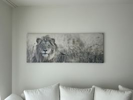 Leinwandbild Löwe 150cm