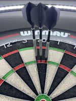 Steeldarts mit Zubehör