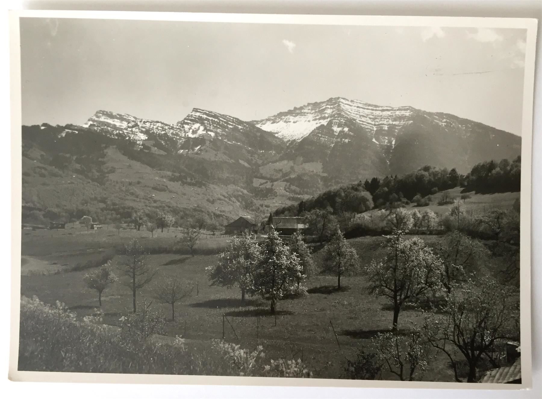Ansichtskarten: BENKEN 1944 – Neu (gemäss Beschreibung) aus Jona von philajona