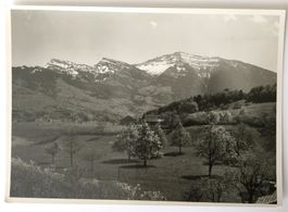 BENKEN 1944