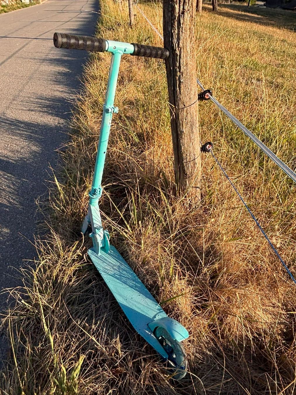 Kickboard: Tretroller blau verstellbar gebraucht – Usato da Häutligen venduto da manu-abc 1