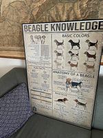 Poster « connaissance du Beagle » neuf.