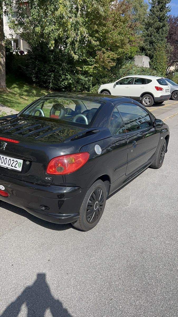 Peugeot Automobili: Peugeout 206 – Usato da St. Gallen venduto da rot_y725 3