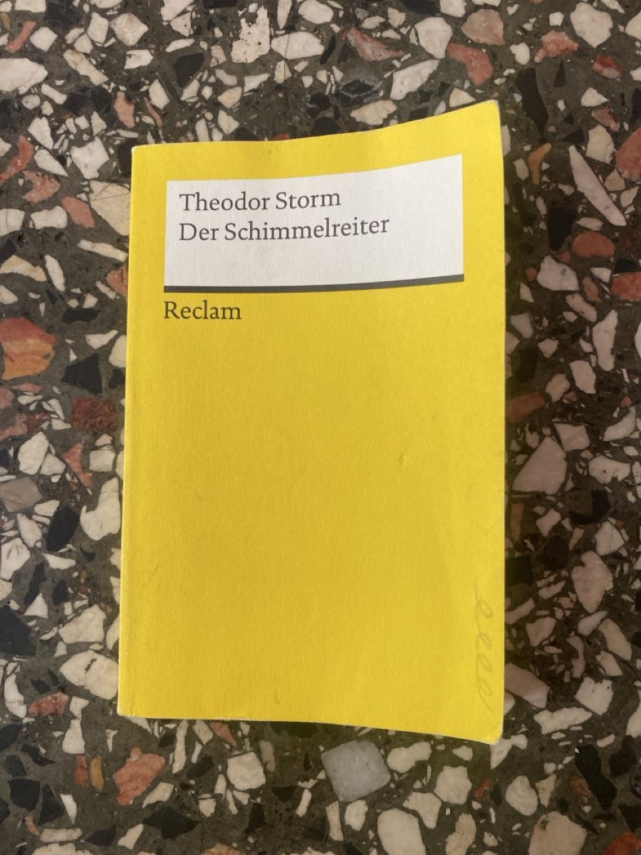 Bücher: Der Schimmelreiter, Theodor Storm – Gebraucht aus Zürich von chind