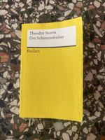 Der Schimmelreiter, Theodor Storm