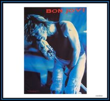 Fahne *Bon Jovi* / Nr. C-512