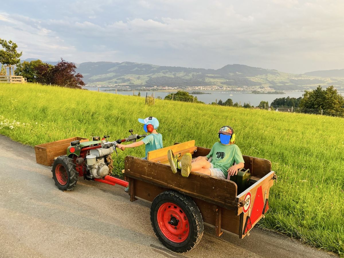 Rapid Tracteurs: Rapid 505 Einachser mit Anhänger – D'occasion à Wolfhausen par LeNoSaBe77 5