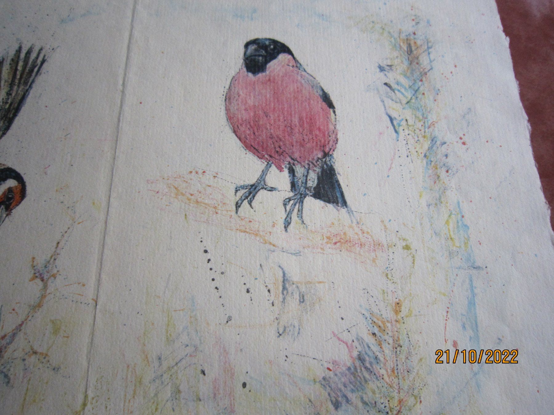 Foto & Immagini: Fritz HUG, Originalzeichnung und Farblithographie – Usato da Lengnau AG venduto da Daenkelbach 2