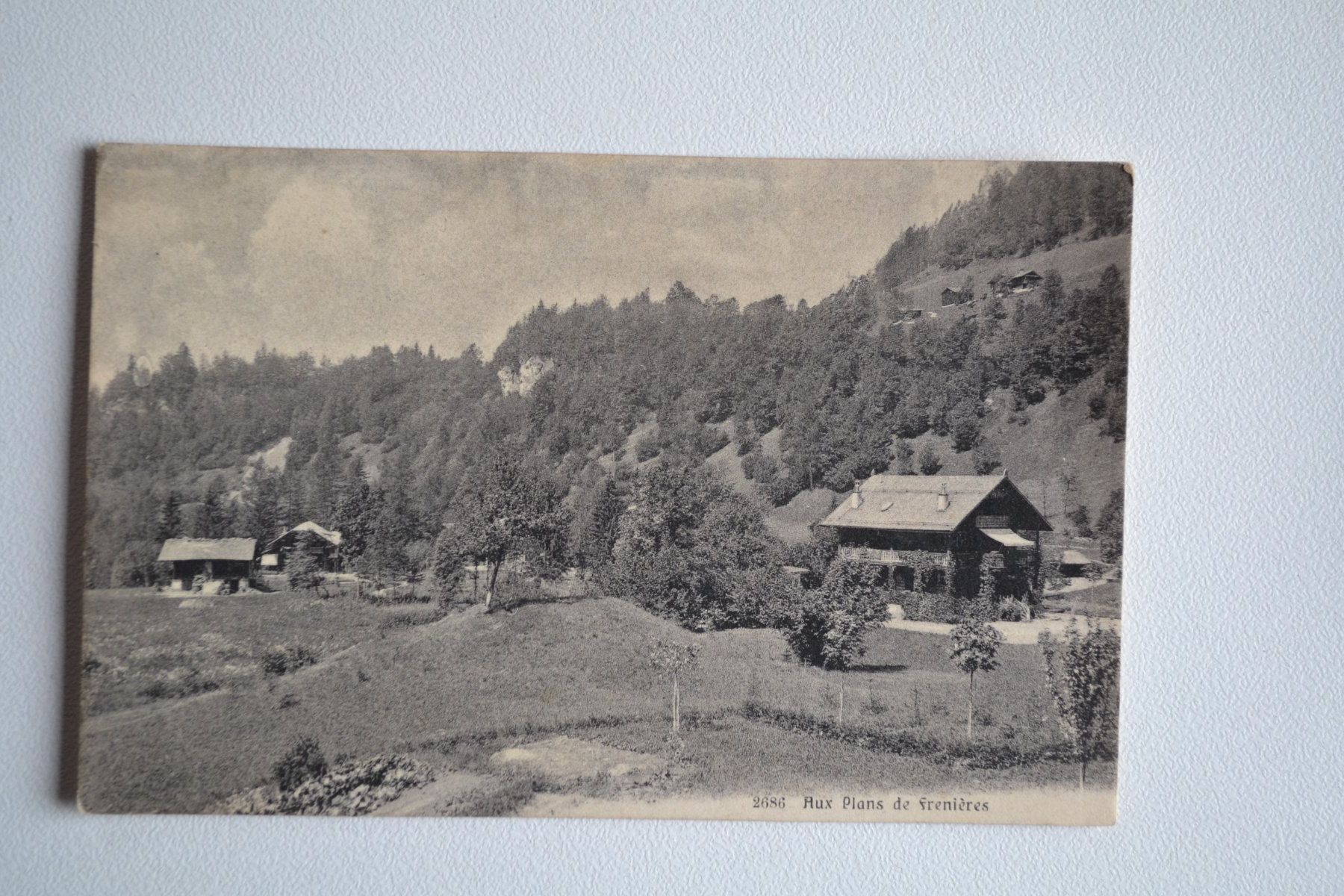 Cartoline postali: AK Freniéres bei Bex – Usato da Beinwil am See venduto da kajak55