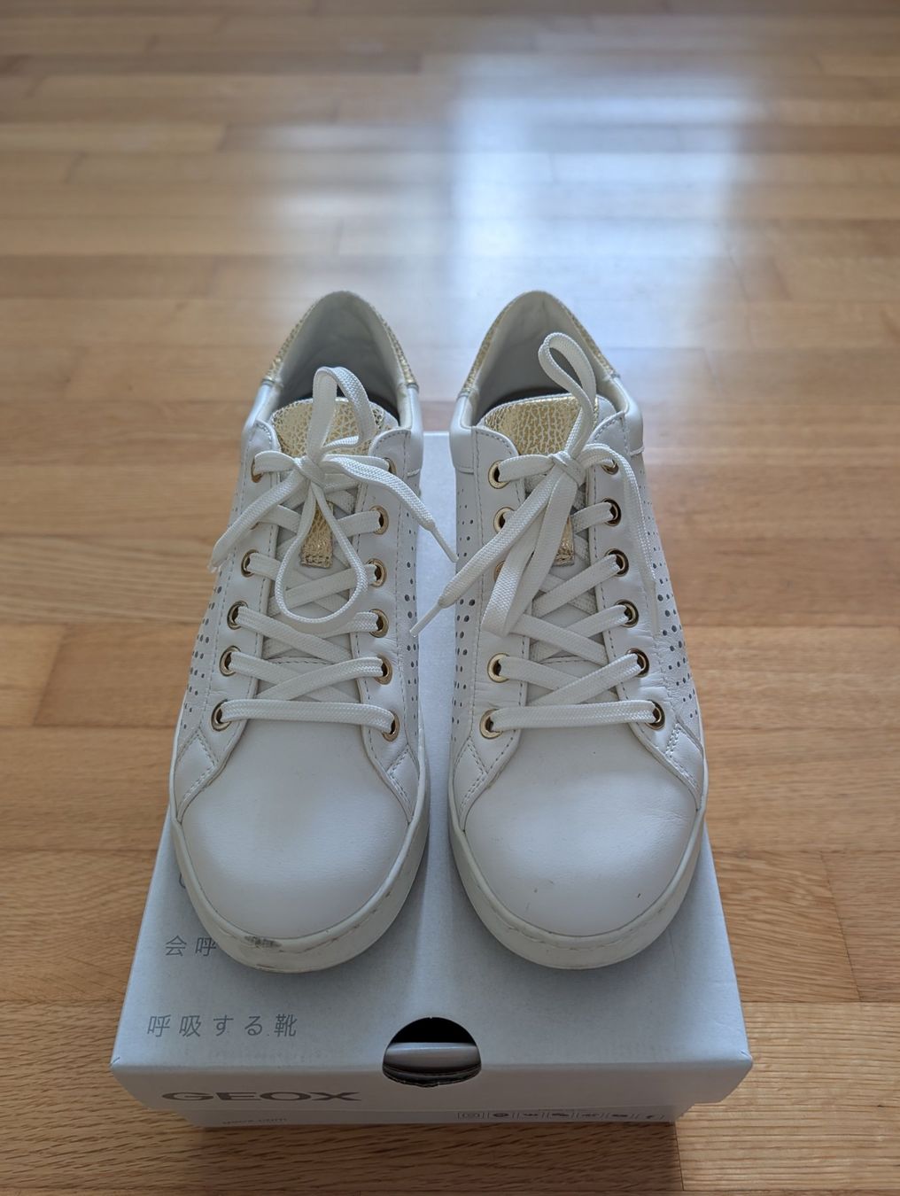 Geox Scarpe da donna: Scarpe Geox Donna 38 – Nuovo (secondo la descrizione) da Zürich venduto da rpe_lxr9 1