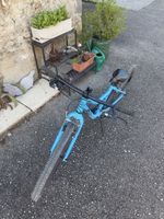 Naloo Chameleon 26 Zoll