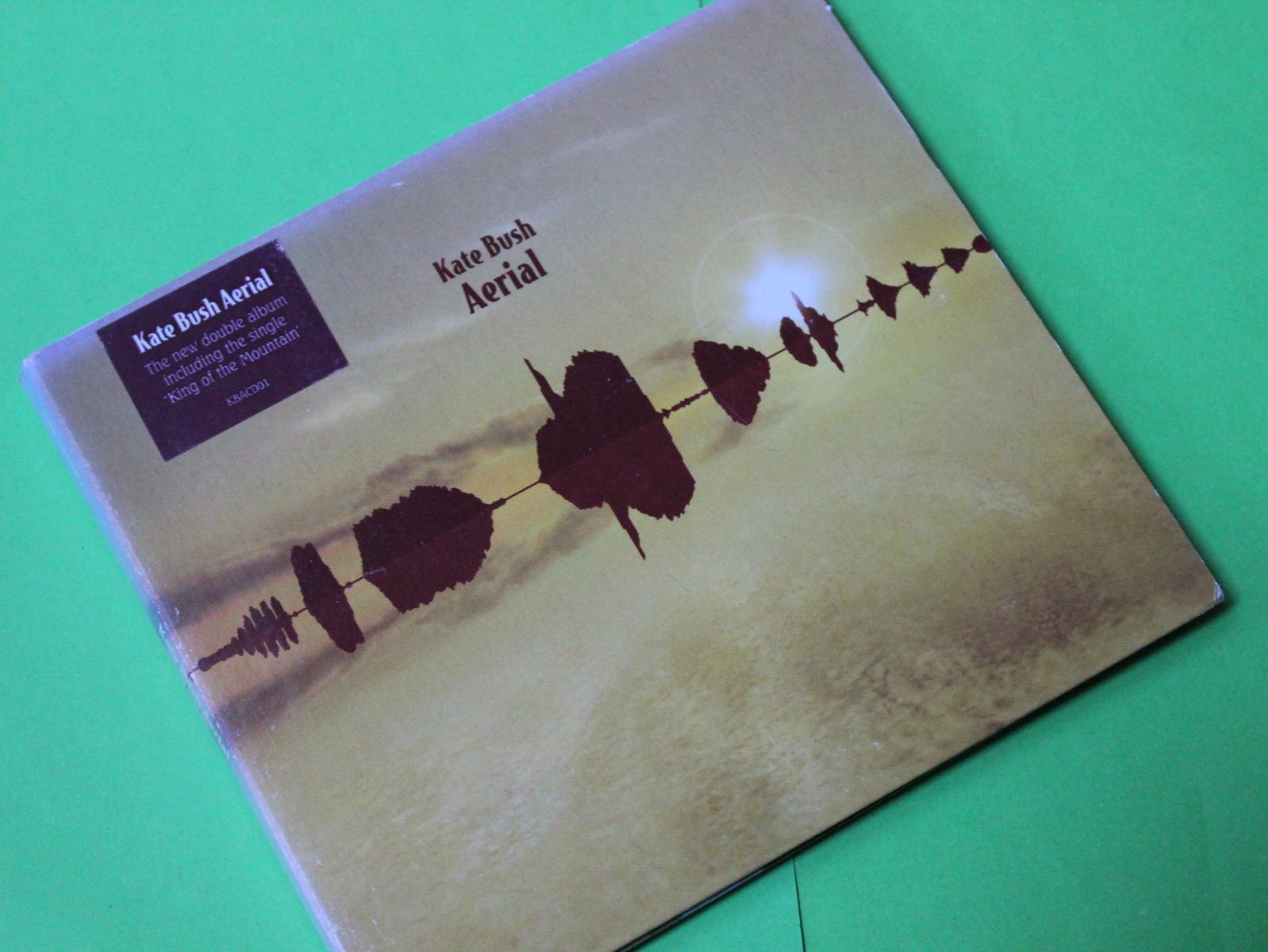 CDs: KATE BUSH - AERIAL 2CDs 2005 – Gebraucht aus Tübach von JamesStone