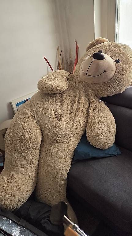 Giocattoli: Orso gigante peluche 180 cm – Usato da Coldrerio venduto da pat_c8dj