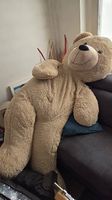Orso gigante peluche 180 cm