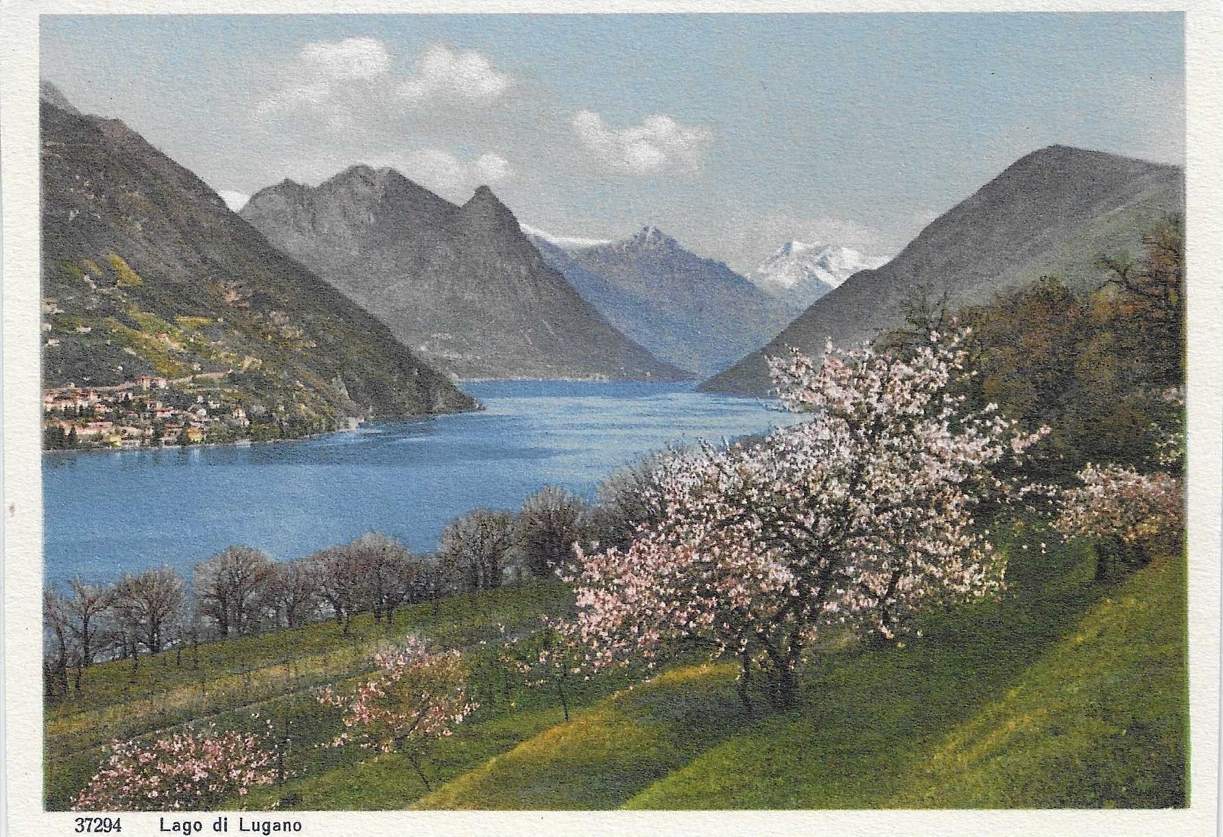 Cartoline postali: Lago di Lugano TI – Nuovo (secondo la descrizione) da Rothrist venduto da Stranglehold