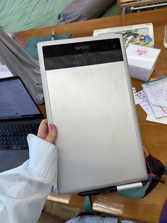 Tablet PC: Bamboo Wacom tablet – Usato da Flawil venduto da PWMU