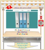 DIN A4 Ordner mit Fenster für Label • im Assortiment 4er-Set