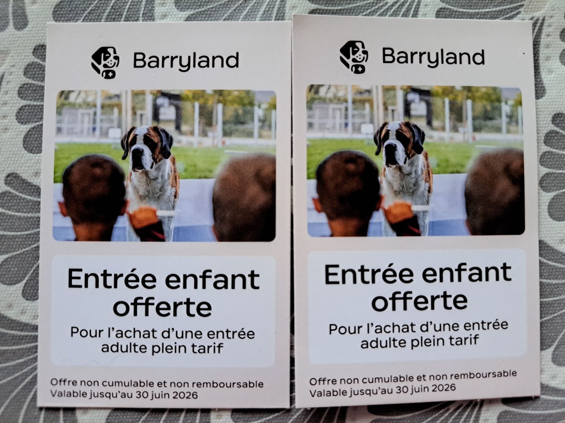 Biglietti: 2 Kindereintritte Barryland – Usato da Büetigen venduto da Schgrr