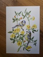 Bild Blumen und Vögel Blau Meisen - Anne Marie Trechslin