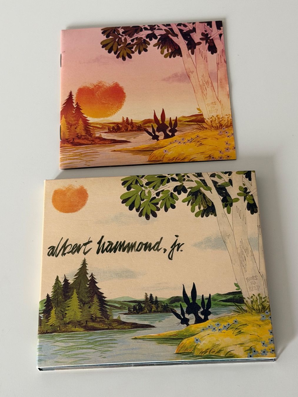 CDs: Albert Hammond Jr. - Yours to Keep CD - Digipack – Gebraucht aus Altstätten SG von sheamus