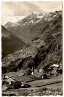 Ansichtskarte  Törbel  (Wallis)