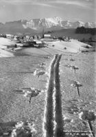 Schwellbrunn (AR) Winterpanorama mit Säntis G