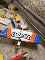 RC Flugzeug „Tango“ – komplett mit Motor flugbereit/Projekt