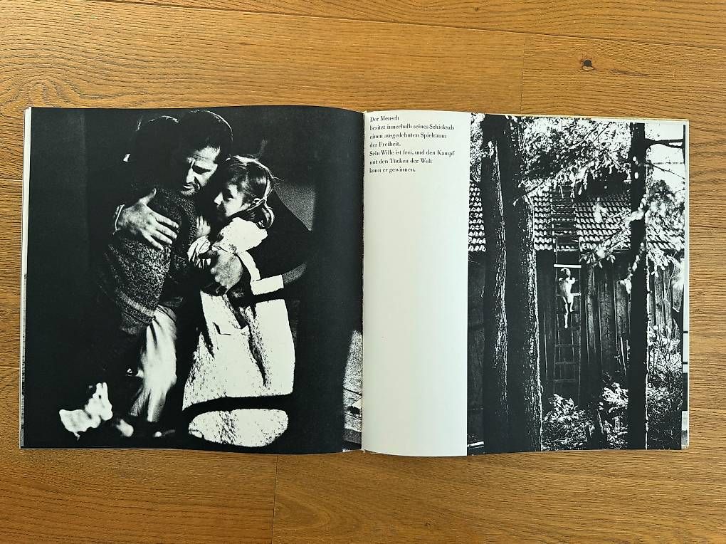 Libri: Fotobuch Uta von Witzleben - Das Leben ein Wagnis – Usato da Bachenbülach venduto da photomoments 4
