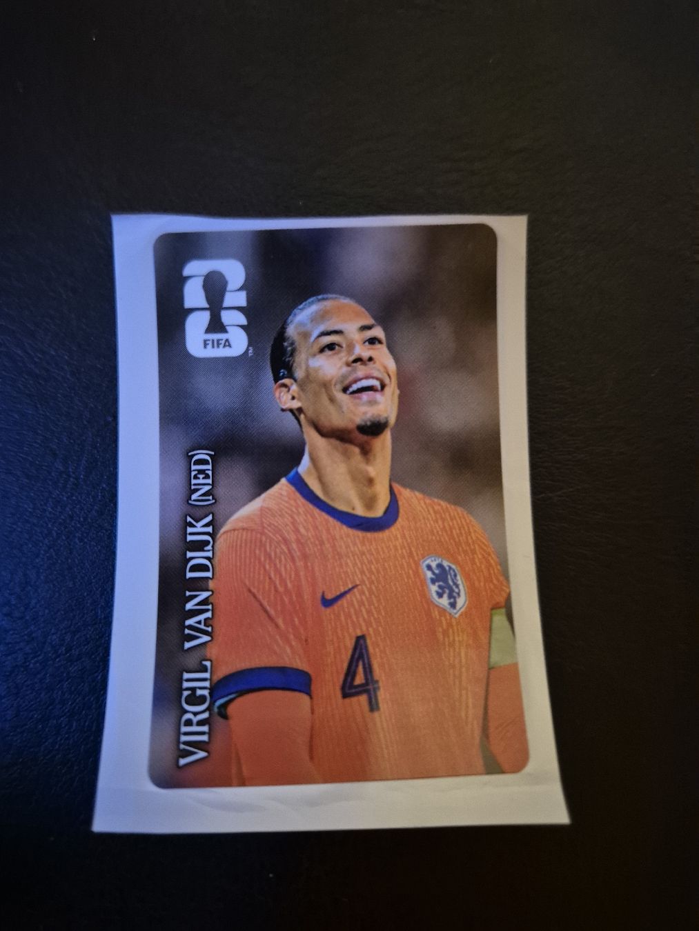 Panini Carte collezionabili: Cola Panini Virgil Van Dijk – Nuovo (secondo la descrizione) da Künten venduto da An44As26